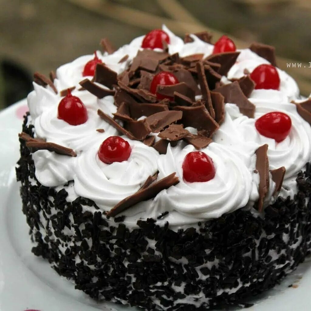 Пирожное черный лес фото Cake Lake Bakery, кондитерская, Sheikh Hamdan Building B8, Шейк-Хамдан-Колони, Э