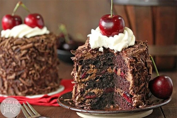 Пирожное черный лес фото Black Forest Mini Cakes Mini cakes, Desserts, Cake recipes