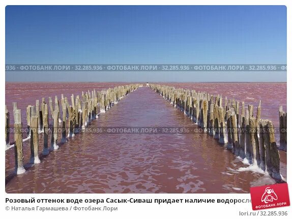 Пирс у озера сасык сиваш фото Розовый оттенок воде озера Сасык-Сиваш придает наличие водорослей Dunaliella sal