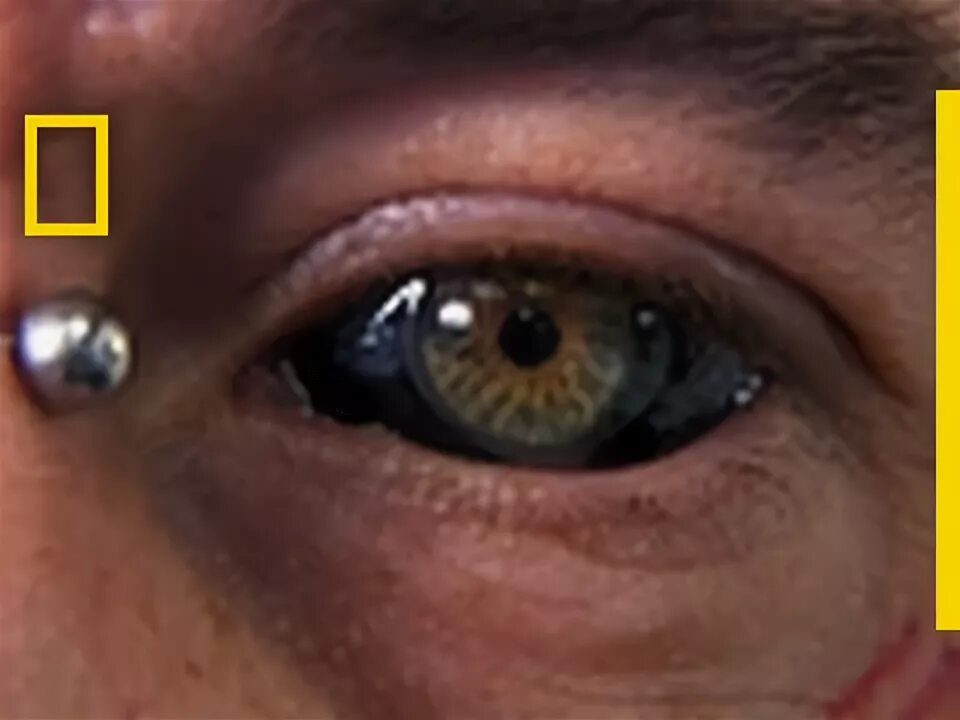 Пирсинг глазного яблока фото Taboo to You: Eyeball Tattoo vs Horns Taboo - YouTube