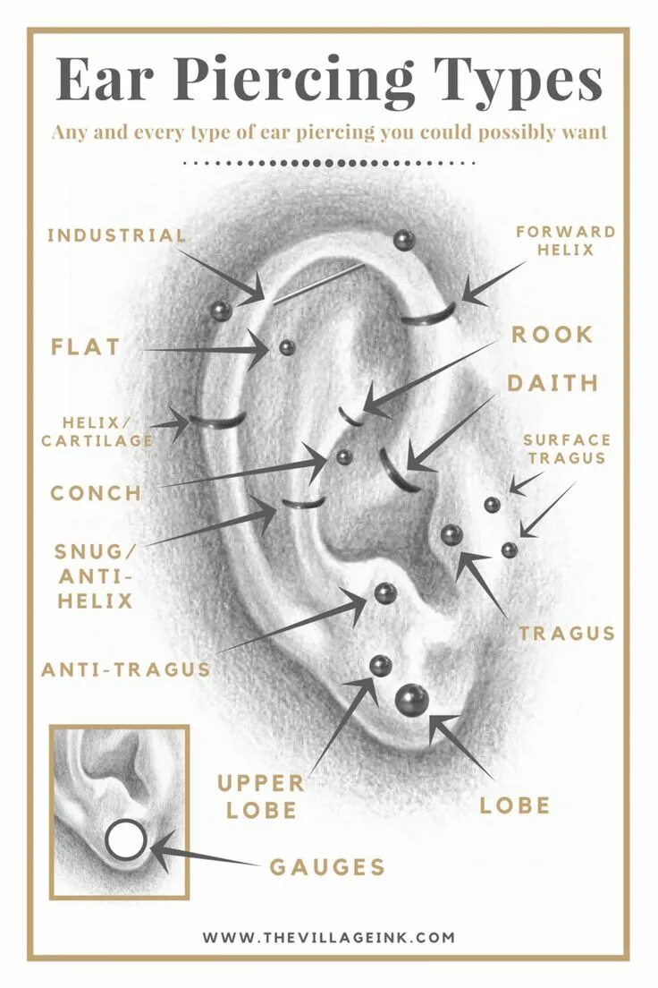 Пирсинг уха виды и названия с фото Ear Piercing Types Ear piercings chart, Piercing chart, Types of ear piercings