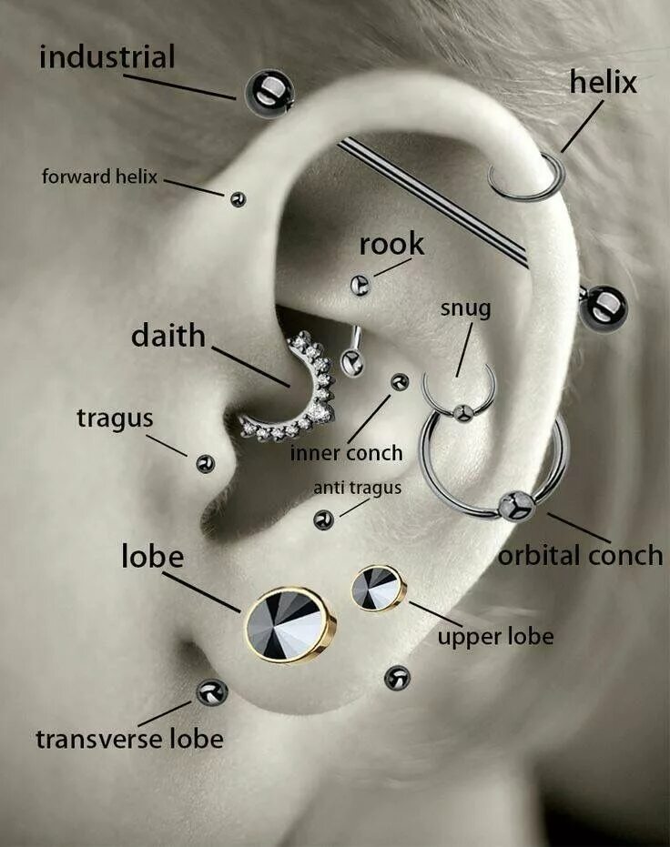 Пирсинг уха виды и названия с фото Pin on Tattoo Ideas Ear piercing diagram, Ear piercings, Cool ear piercings