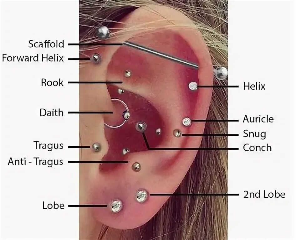 Пирсинг уха виды и названия с фото 10 популярных идей на тему "earring names chart" для вдохновения