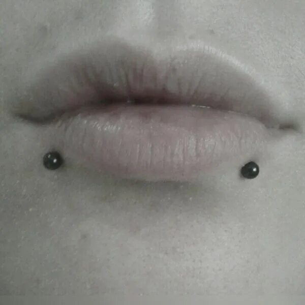 Пирсинг укус змеи фото Piercing en el labio - fotos, tipos, cuidados y curación Piercings, Lip piercing