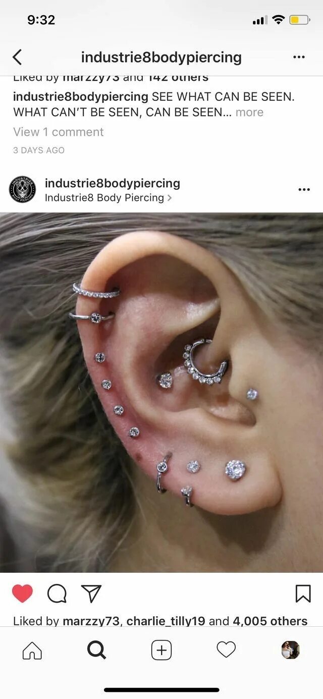 Пирсинг ушей названия и фото Pin by Dani Lubk on Brincos Earings piercings, Pretty ear piercings, Ear piercin