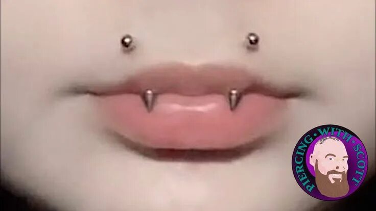 Пирсинг верхней губы фото angel bites Cool ear piercings, Mouth piercings, Cool piercings
