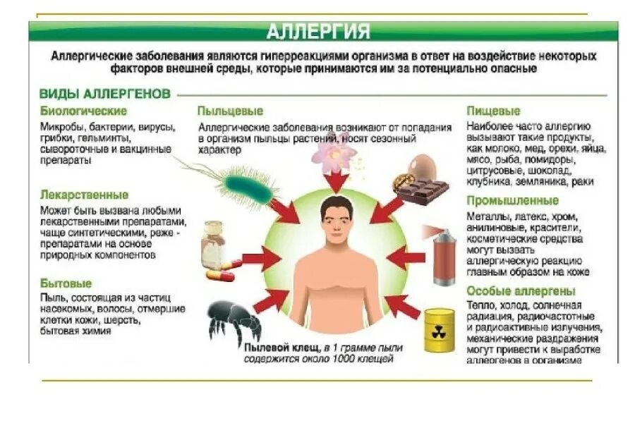 Пищевая аллергия симптомы у взрослого фото Аллерги́я - гиперчувствительность организма, развиваемая адаптивной иммунной сист