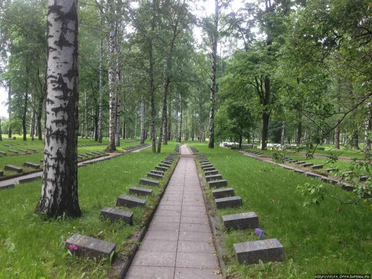 Пискаревский парк санкт петербург пискаревский парк фото Пискаревский парк - Фото