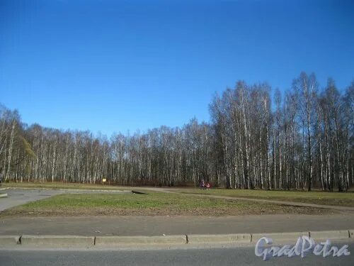 Пискаревский парк санкт петербург пискаревский парк фото Пискаревский парк, Санкт-Петербург. Портал GradPetra