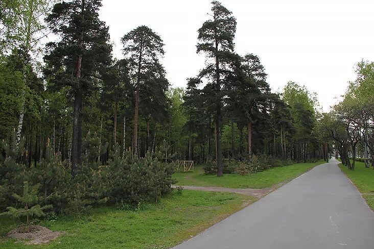 Пискаревский парк санкт петербург пискаревский парк фото В Пискаревском парке Санкт-Петербурга впервые пройдет полумарафон! - Фитнес, фит