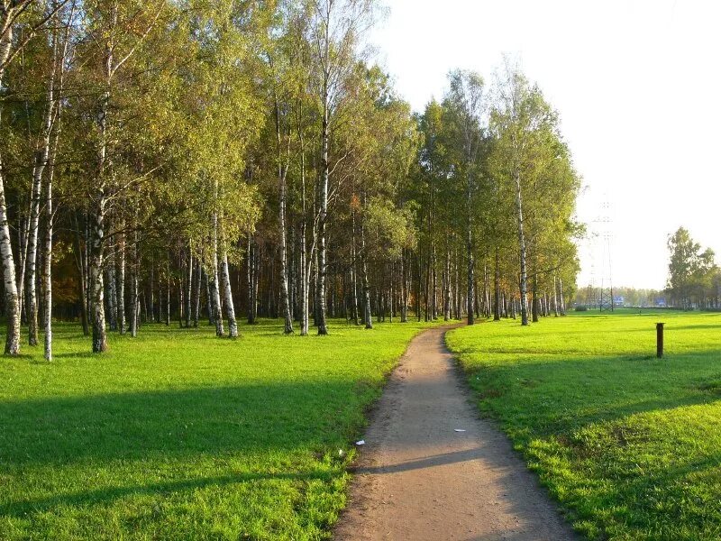 Пискаревский парк санкт петербург пискаревский парк фото Пискаревский парк