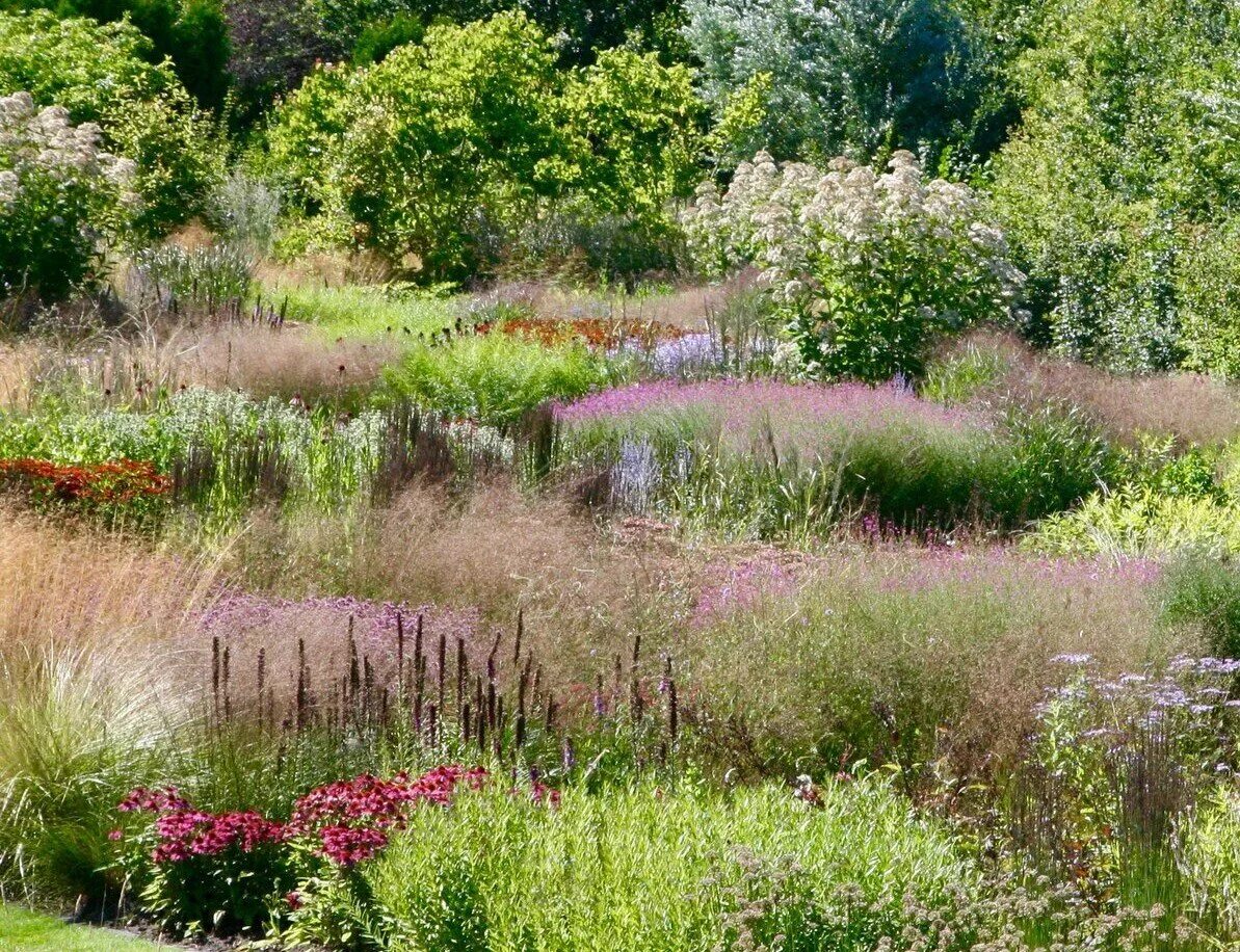 Пит удольф ландшафтный дизайнер фото Сад в природном стиле Пита Удольфа Naturgarden - возможен ли на дачном участке в