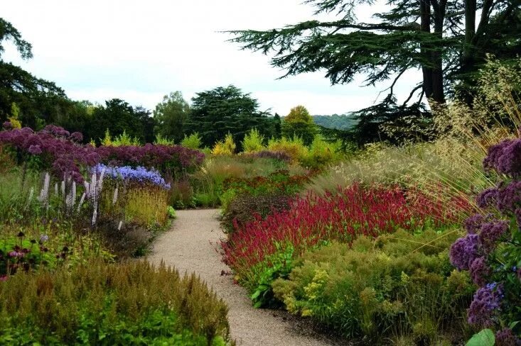 Пит удольф ландшафтный дизайнер фото 10 Garden Ideas to Steal from Superstar Dutch Designer Piet Oudolf - Gardenista 
