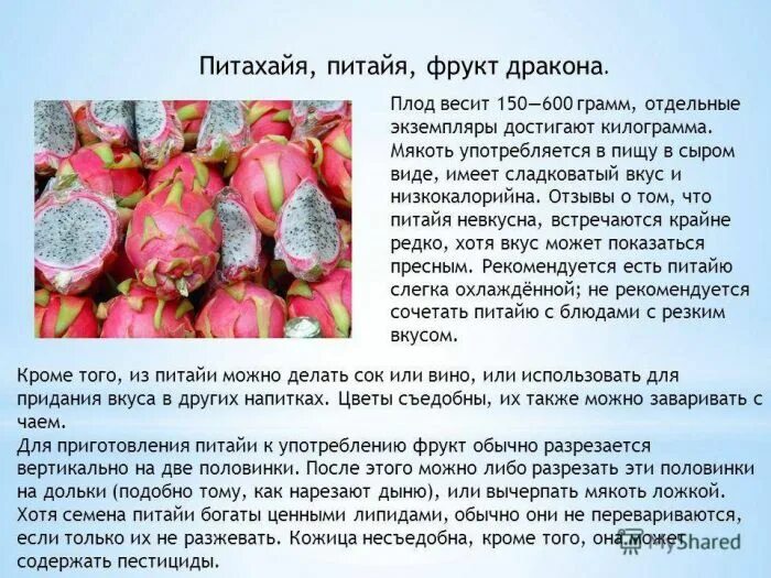 Питахайя фрукт фото полезные свойства Фрукт Питахайя красная - польза и вред, полезные свойства и противопоказания