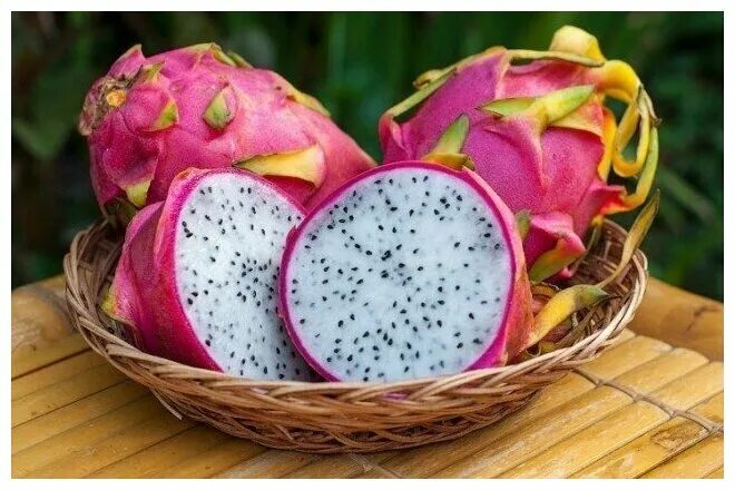 Питая фото фрукт Питахайя фрукт купить в спб - купить по низкой цене на Яндекс Маркете - страница