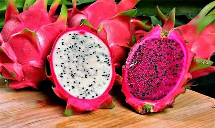 Питайя фрукт фото 20 PURPLE DRAGON FRUIT pitaya / Pitahaya / Strawberry Pear Hylocereus Undatus Ca