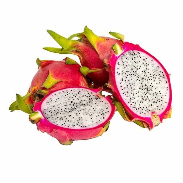 Питайя фрукт цена фото S. undatus, white dragonfruit - General Fruit Growing - Growing Fruit