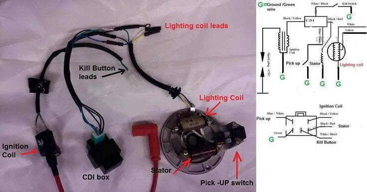 Питбайк как подключить два желтых провода Pitbike Wiring Diagram TBolt USA, LLC