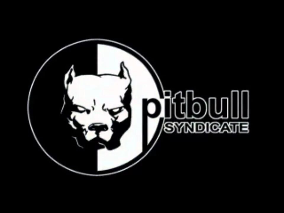 Питбуль черно белый фото Cyro Interactive/Pitbull Syndicate (2000) - YouTube