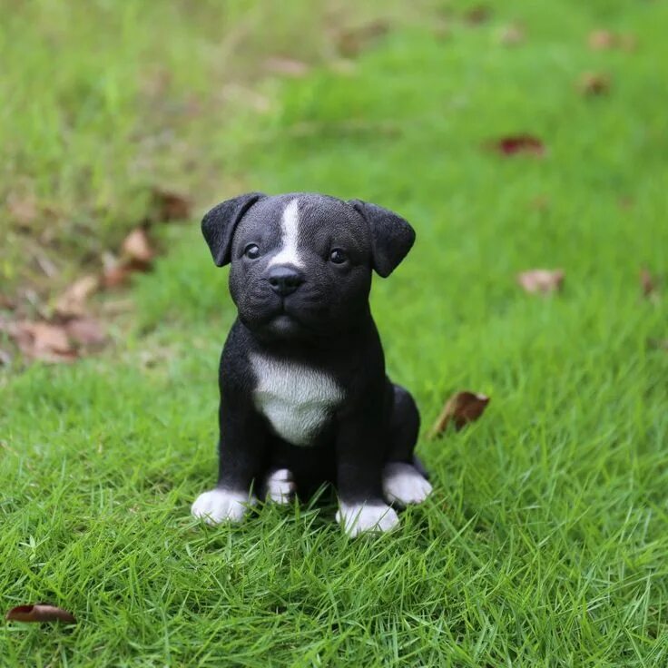 Питбуль щенок черный фото Pin on Cutest dogs