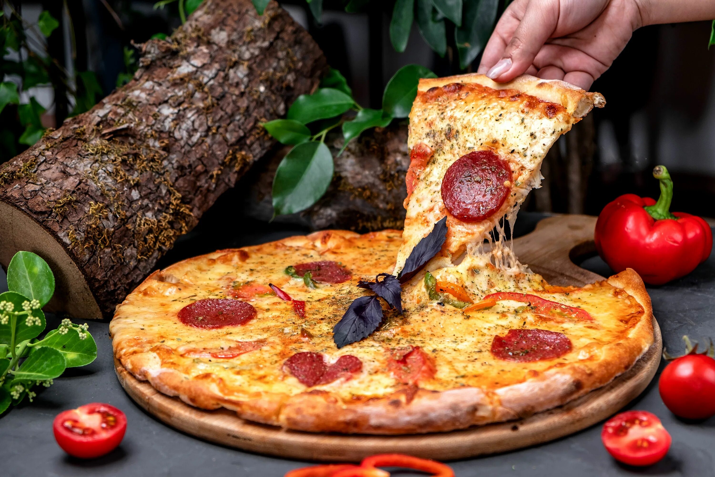 Пицца фото картинки Pepperoni never gets OLD Receitas, Pizza legal, Pizza de calabresa