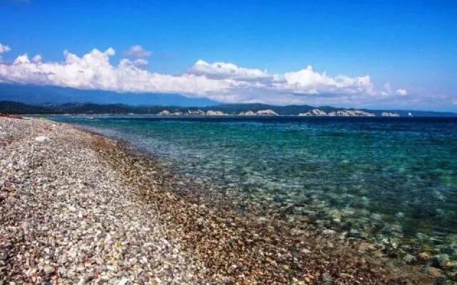 Пицунда море фото Apshza Guest House 1* в Пицунде отзывы, цены и фото номеров - забронировать гост