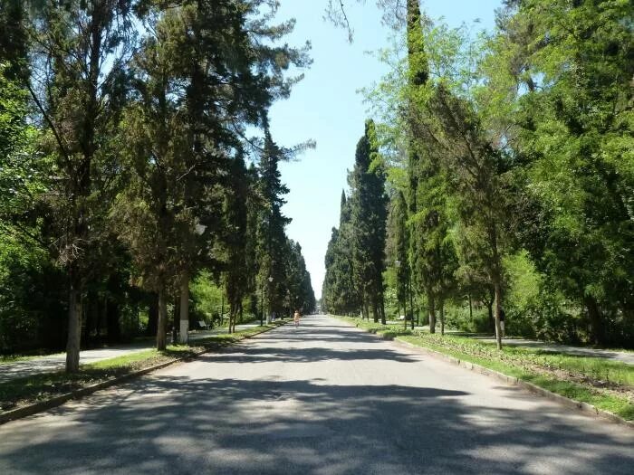 Пицундская больница ул гицба 2 фото Картинки ПИЦУНДА УЛ ГИЦБА