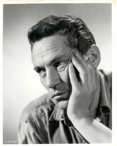 Питер финч фото Peter Finch Peter finch, Finch, Hollywood actor