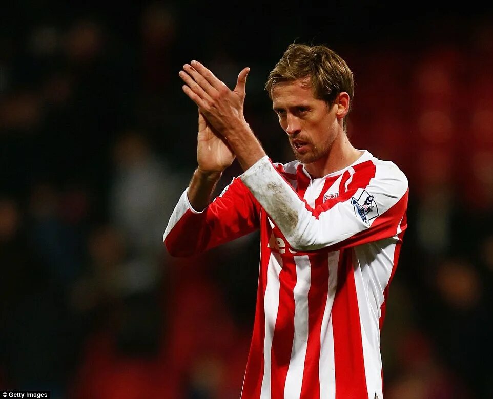 Питер крауч фото Crystal Palace 1-1 Stoke: Peter Crouch cancels out James McArthur opener Daily M