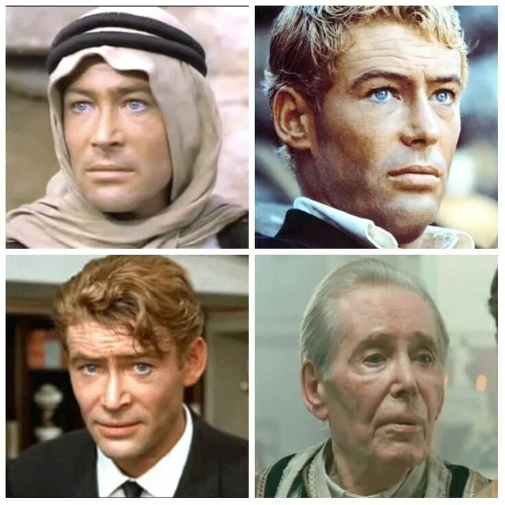 Питер о тул фото Classic British TV on Twitter British tv, Actors, Peter o'toole