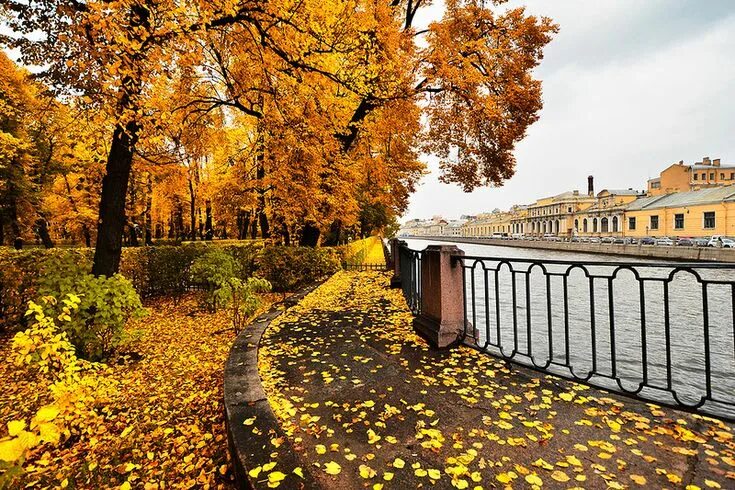 Питер осенью фото efteråret Санкт-петербург, россия, Пейзажи, Красивые места