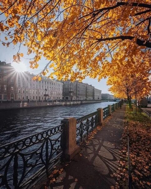 Питер осенью по летнему прекрасен фото любительское PETER 2nd November At the Dostoevsky Hostel Number 2 Local Central District.. 20