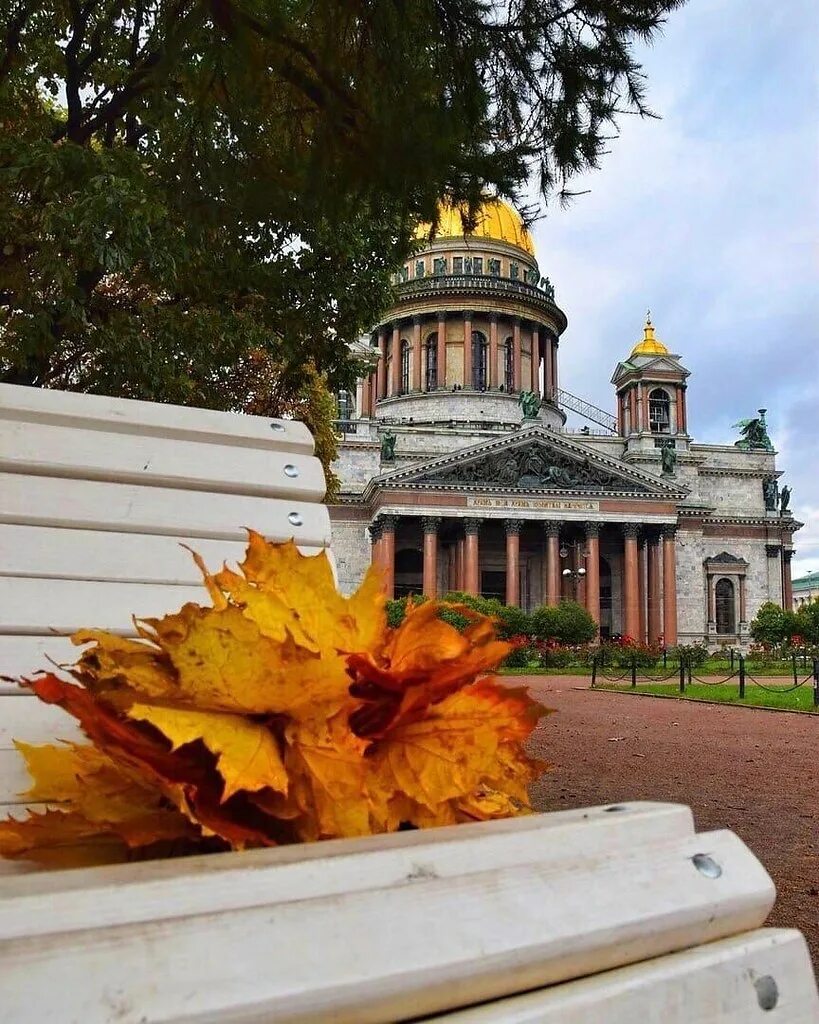 Питер осенью по летнему прекрасен фото любительское Петербургу осень к лицу КУДА ПОЙТИ в ПИТЕРE (развлечения, отдых, СПб) Фотострана