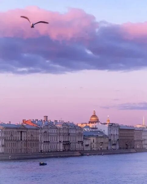 Питер сегодня фото 2024 сейчас Безмятежный утренний Петербург 2023 Здравствуй!!! ВКонтакте