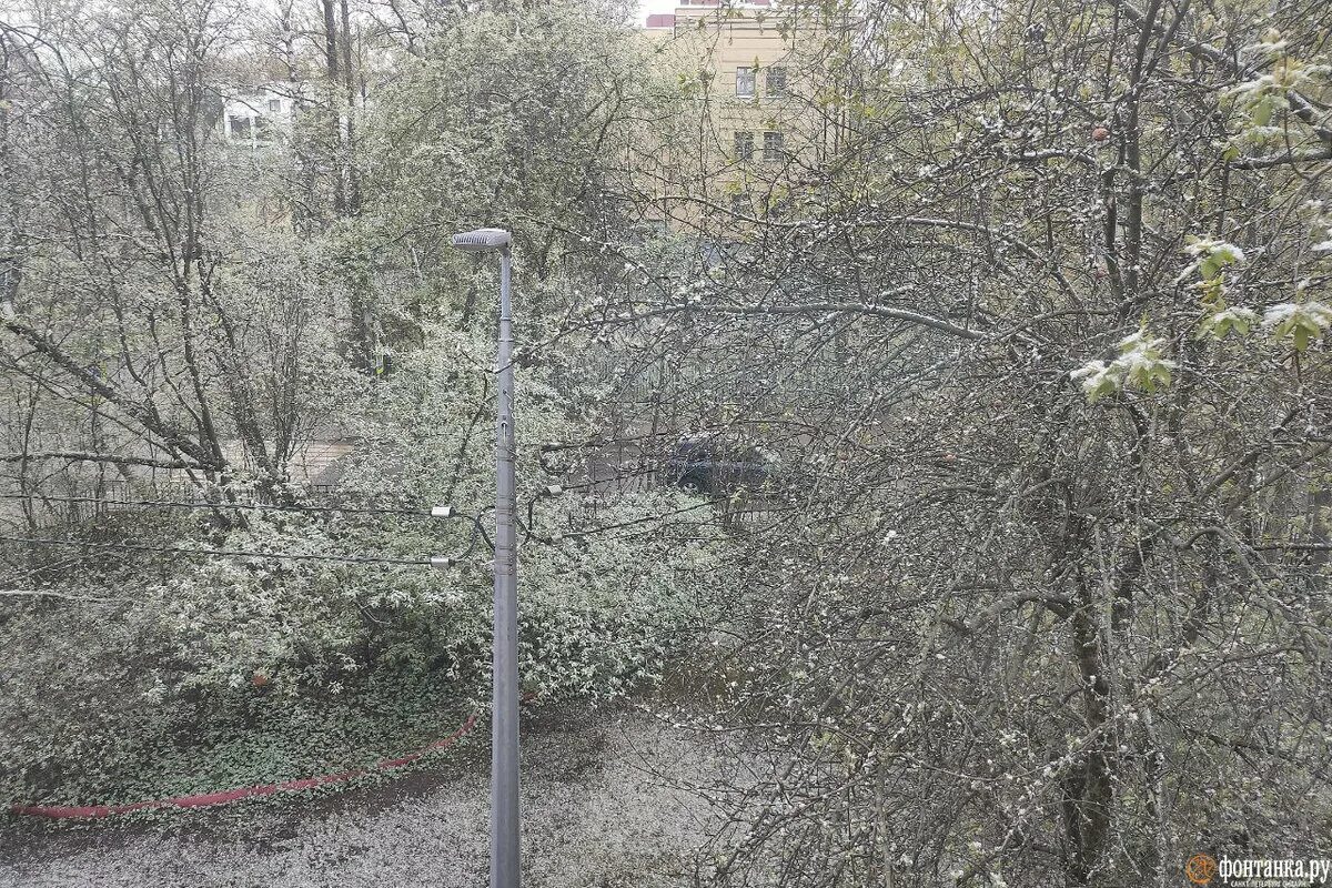 Питер сегодня фото сейчас На Петербург утром 5 мая наползла снежная туча. Читайте на "Фонтанке" Фонтанка.р
