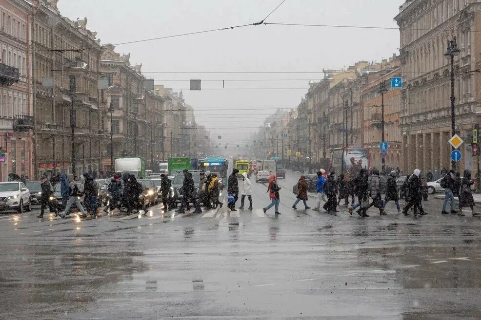 Питер сегодня фото сейчас Синоптик Колесов: в конце марта в Петербург вернётся похолодание MR7.ru - Мой ра