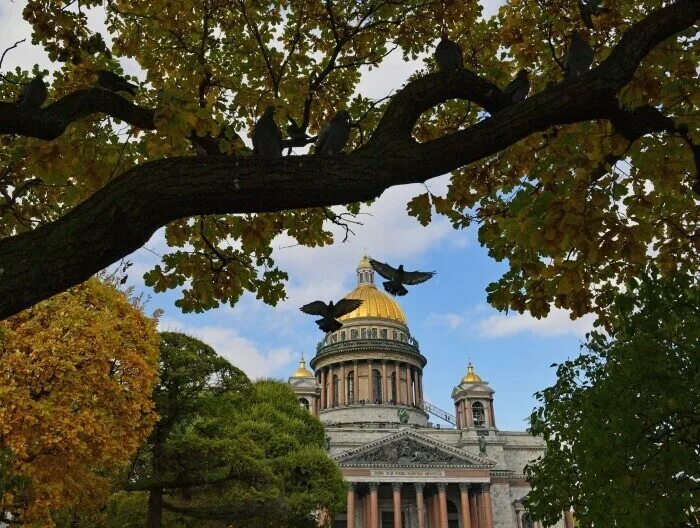 Питер сентябрь фото Начало осени в Петербурге стало самым холодным за 106 лет - Северо-Запад Интерфа