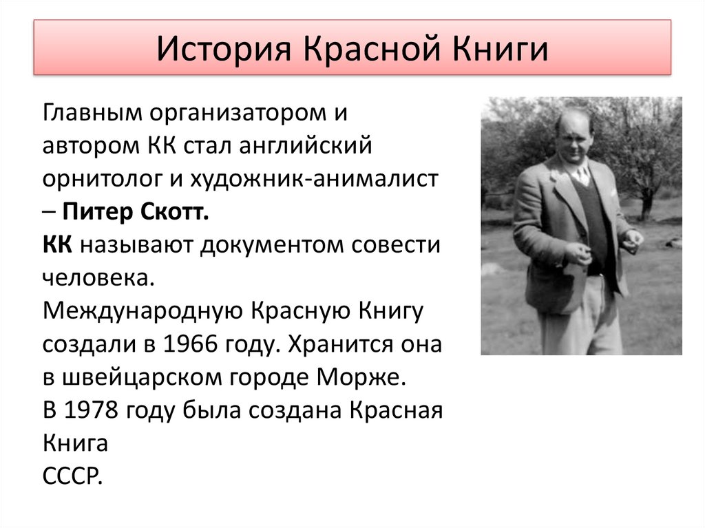 Питер скотт красная книга фото Питер скотт красная книга фото Seamo.ru
