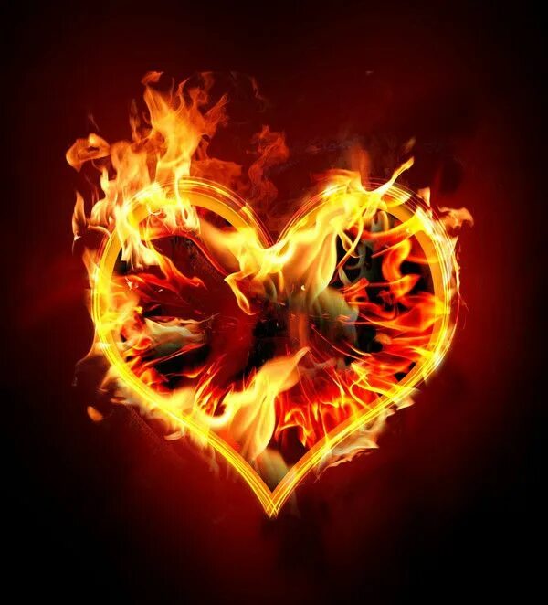 Пламенное сердце фото Épinglé sur coeur Hearts on fire, Fond d'écran coloré, Fond d'écran téléphone