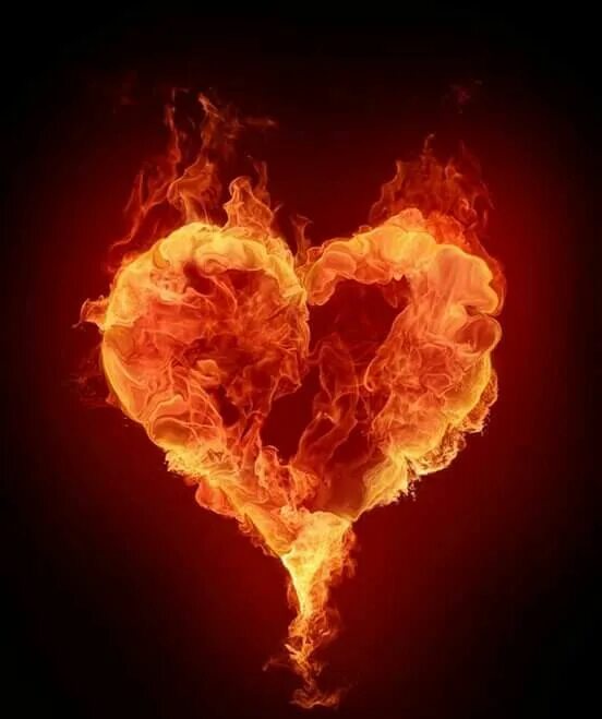 Пламенное сердце фото Pin on Fire Fury Fire heart, King of hearts card, Heart wallpaper
