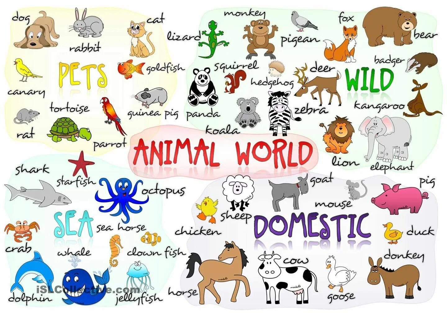 План картинки животные Animal World Spanish animals, Spanish, Vocabulary