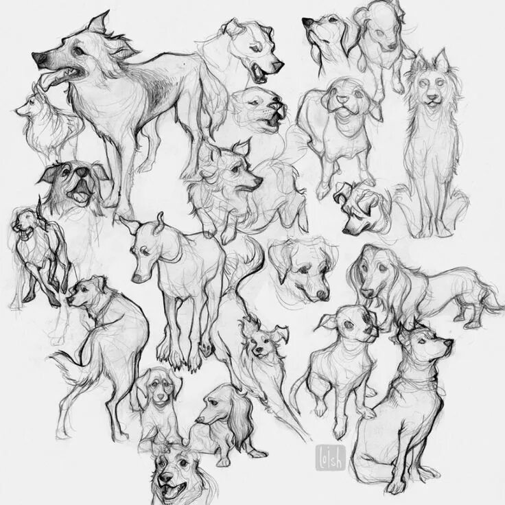 План картинки животные Loish is creating digital paintings and sketches Patreon in 2020 Animal study, A