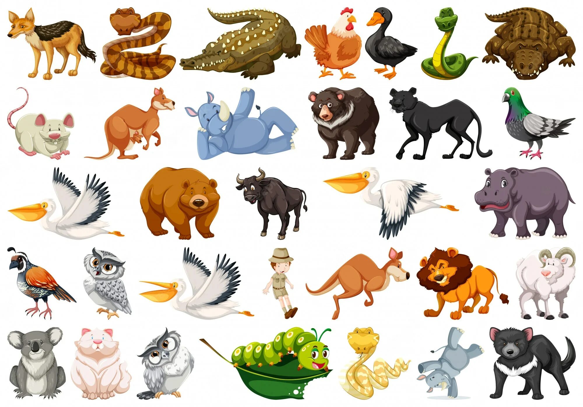 План картинки животные Animals Baamboozle - Baamboozle The Most Fun Classroom Games!