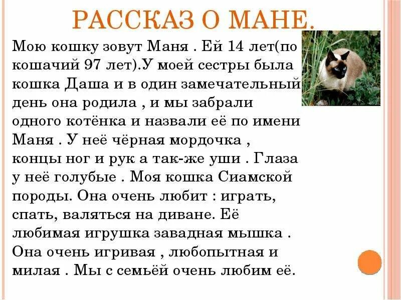 План своей сказки про домашнего питомца 2 Мой питомец. Сиамская кошка. Софья Михайлова. - скачать презентацию