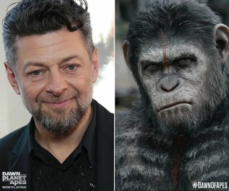 Планета обезьян актеры фото Pin on Andy Serkis