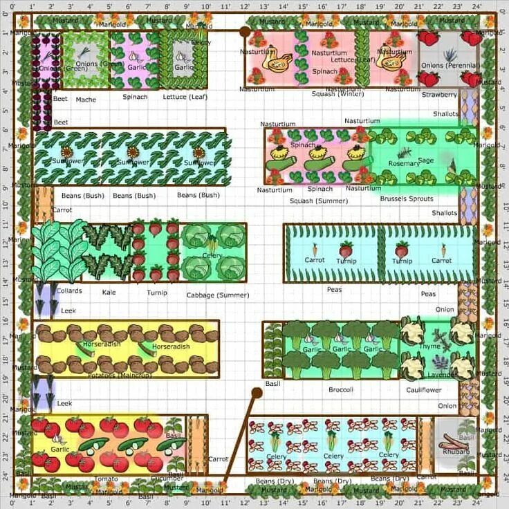 Планировка посадок на участке large vegetable garden layout - Google Search Garden planning layout, Vegetable 