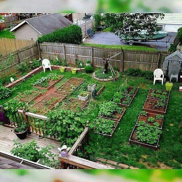 Планировка сада фото Pin on gardening Vegetable garden planning, Urban garden, Backyard vegetable gar