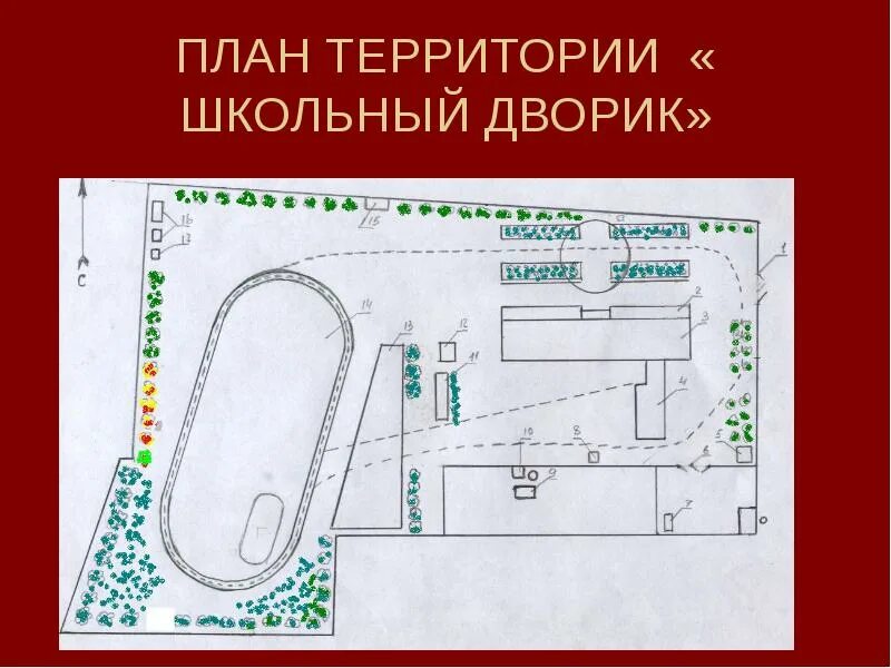 Планировка школьной территории Карта территории школы