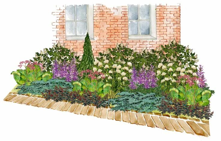 Планировка цветника на участке Посмотреть клумбу Garden planning, Garden flower beds, Evergreen garden