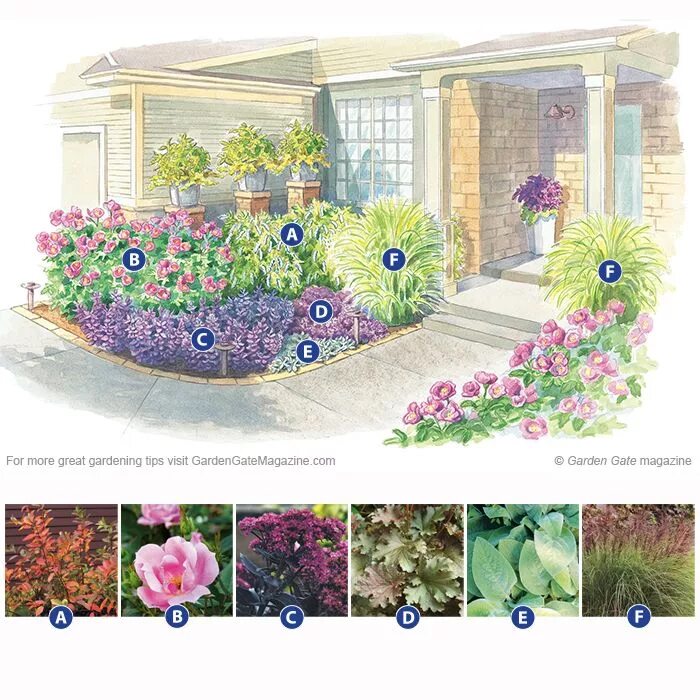 Планировка цветника на участке своими руками Pin on Gardening & Landscaping- I